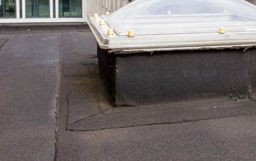 disadvantages of South Parks flat roofs