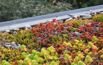 the cost of South Parks green roof installation