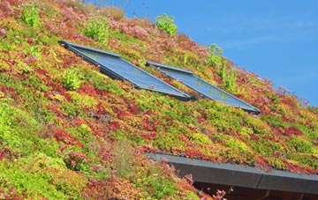 South Parks living roof systems